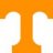 vols_fan_for_life