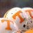 volsfor4life