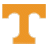 BornonRockyTop