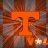 I BLEED ORANGE 87