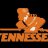 Tennessee Fishing Vol