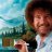 bob ross vol