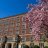 GreveHall414