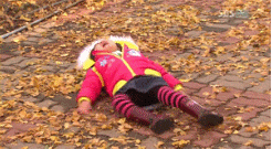 82757729.gif
