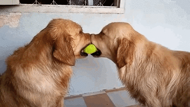 source.gif