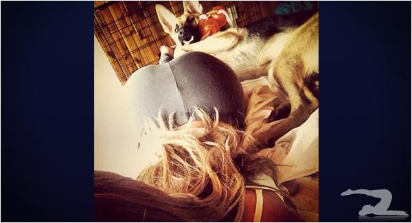 dogs-and-girls-in-yoga-pants.jpg