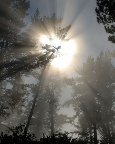 ive-seen-the-light2.jpg