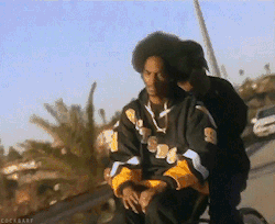 tumblr_n561r4w9pQ1rqd0kpo1_r2_250.gif