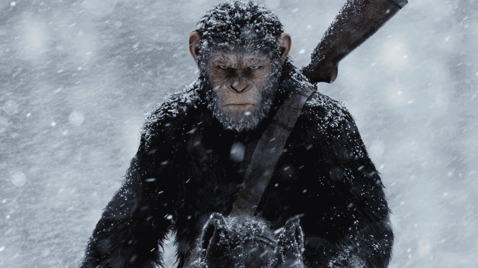 chimp-poogif.gif