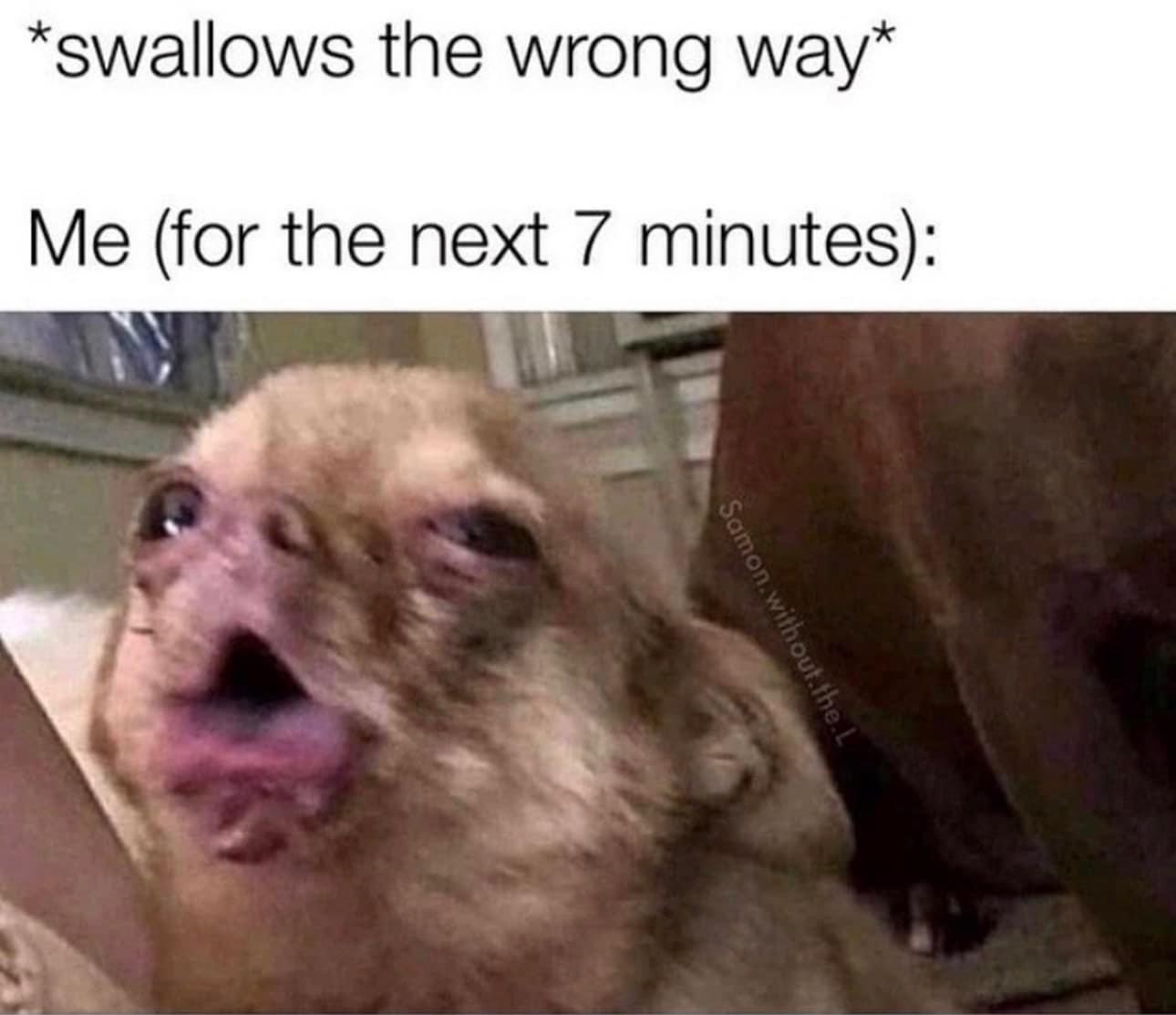 7WYKX5x.jpeg