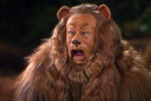 3087349881_87a1ff25ce_Cowardly-lion.jpg