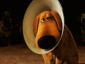Im-ashamed-GIF.gif