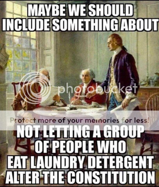 tide%20pod%20constitution_zps5bjxtn53.jpg
