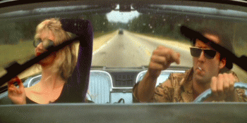 ncfi.gif