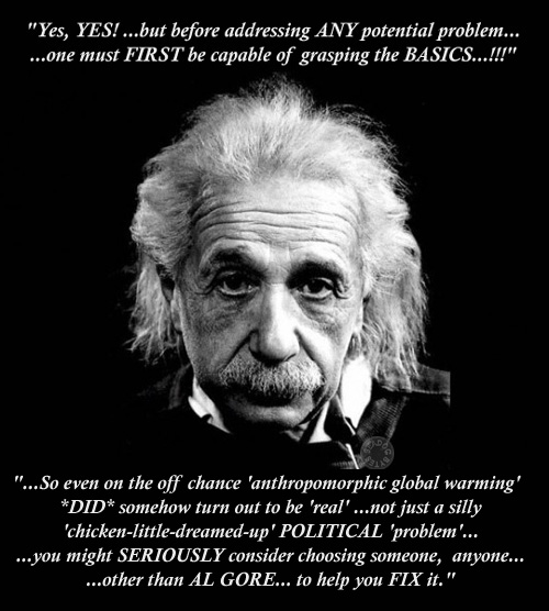 EinsteinGlobal.jpg