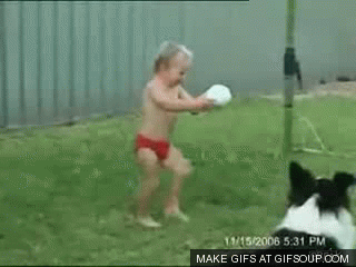 XGfu8jl.gif