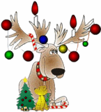 reindeer.gif