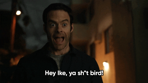 giphy.gif