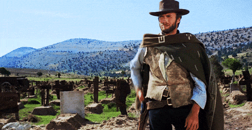 wpid-wp-1443283444264.gif