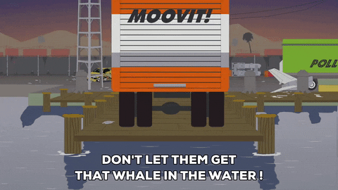 giphy.gif
