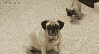 byIFDe.gif