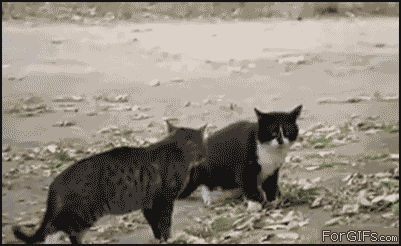 iQhK4.gif