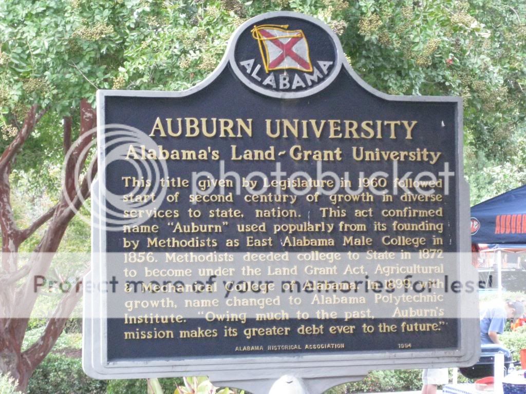 AuburnGame2008007.jpg