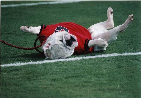 UGA1.jpg