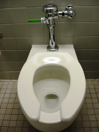 dual-flush20toilet.jpg