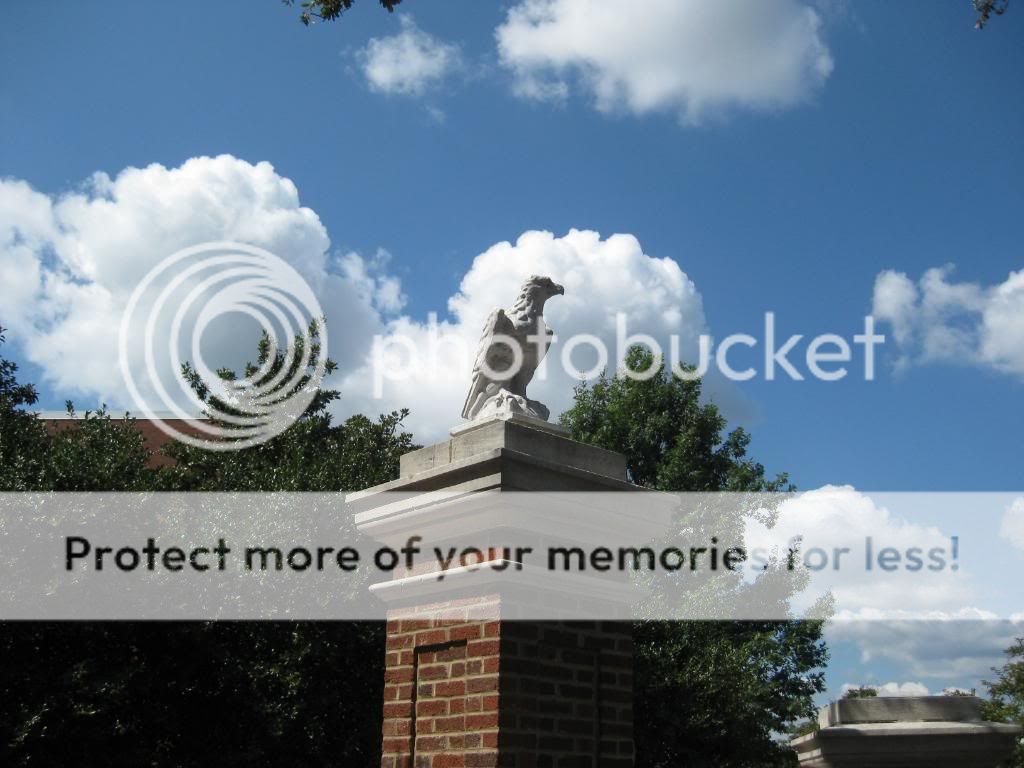 AuburnGame2008004.jpg