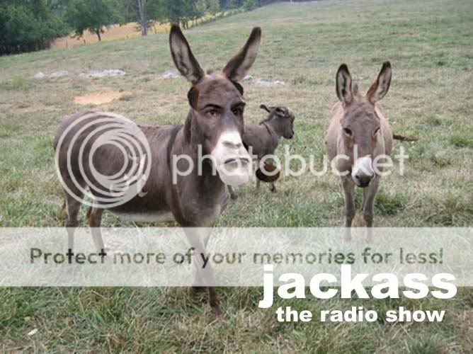 jackass.jpg