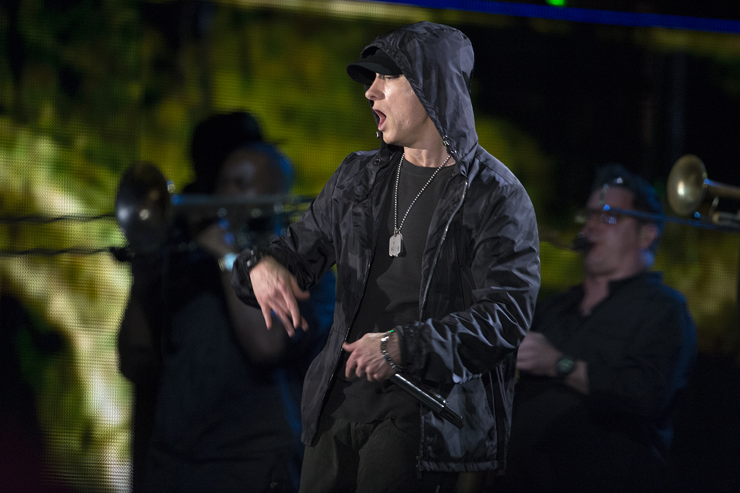 Eminem_live_at_D.C._2014.jpg
