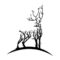 jasontomeoutdoors.com