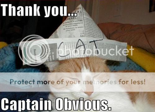 thank_you_captain_obvious_trollcat.jpg