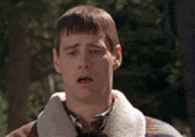 980x.gif