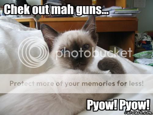 MuscleCat.jpg