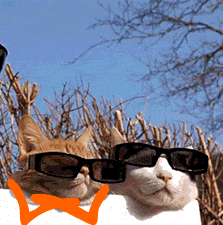 UV7u7SJ.gif