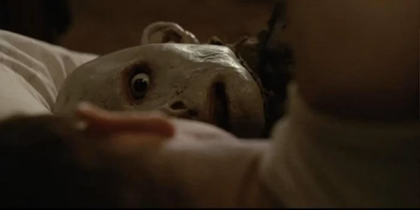 possum-1.png