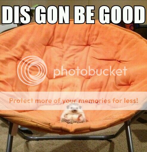 meme4914846063_zpsdc83828b.jpg