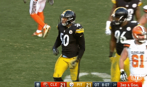 giphy.gif