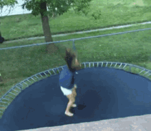 trampoline-fail.gif