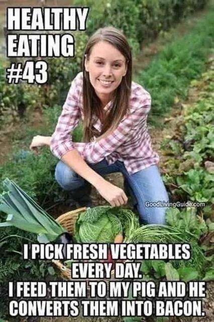 img-63f22694-jpeg.95645