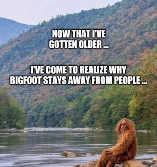 01522ea5acdf7d2c-png.92894