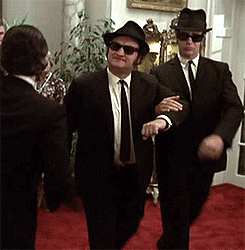 tumblr_n4ws5amqEi1qdeyheo1_250.gif