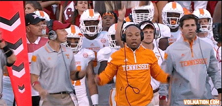sideline.gif