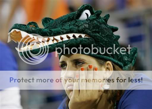 gators.jpg