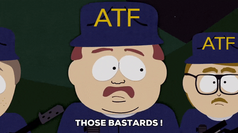 giphy.gif