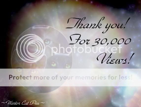 30000views.jpg