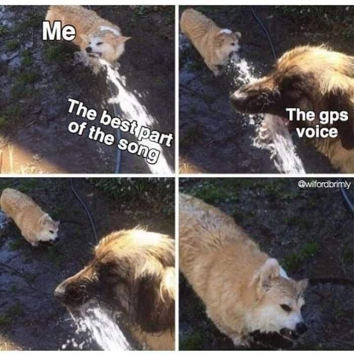 W0GOdVE.jpeg
