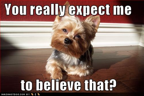 funny-dog-pictures-expect-believe.jpg
